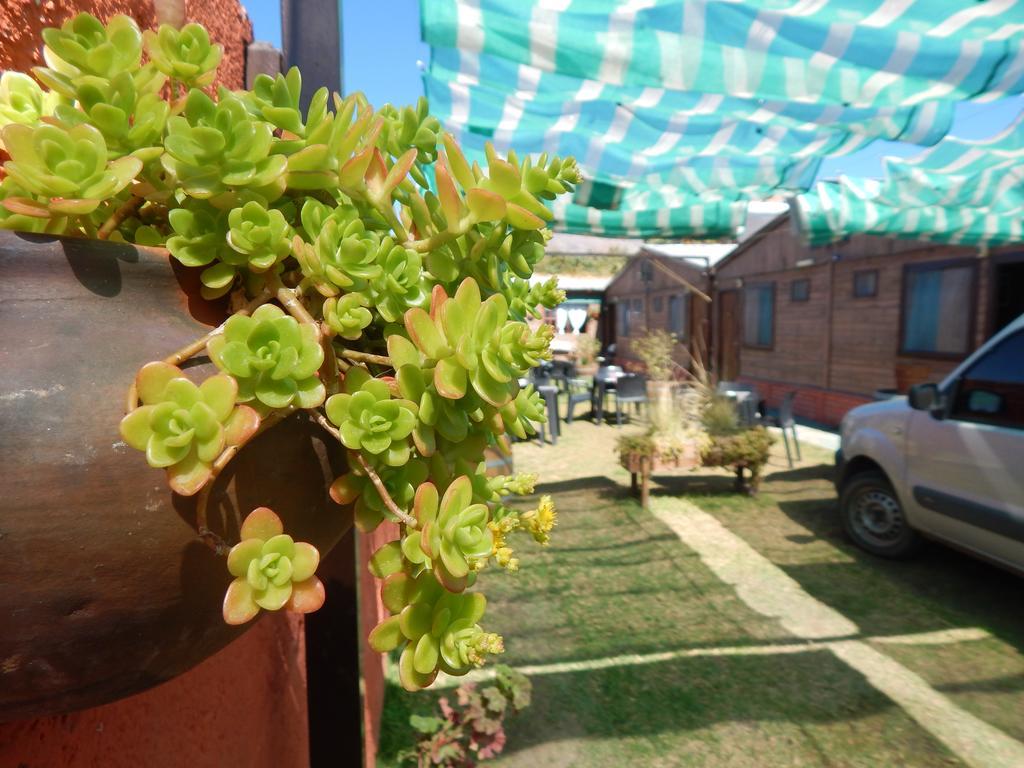 Hostal Del Suri Cafayate Kültér fotó